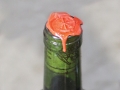 official seal