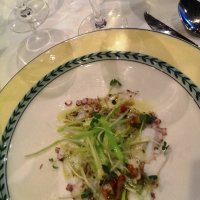 starter