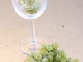 Albarino